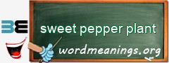 WordMeaning blackboard for sweet pepper plant